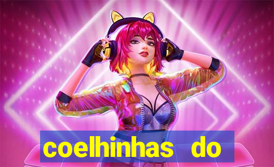 coelhinhas do brasil site