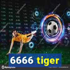 6666 tiger