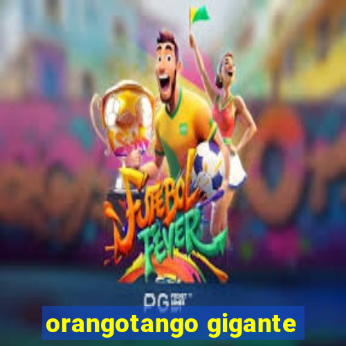 orangotango gigante