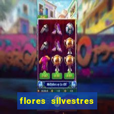 flores silvestres desbravadores desbravadores 25