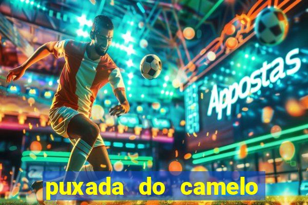 puxada do camelo no jogo do bicho