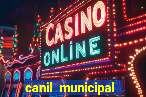 canil municipal porto alegre