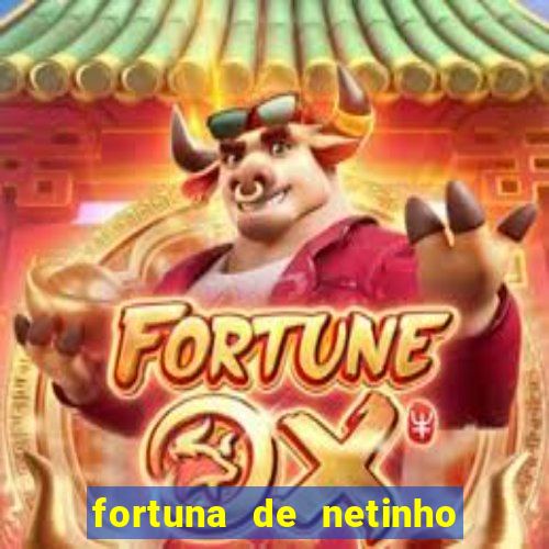 fortuna de netinho de paula