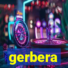 gerbera-dh.com