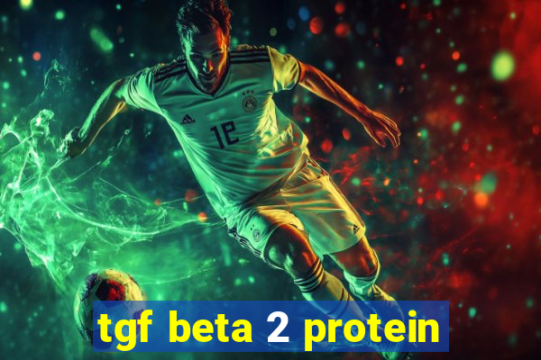 tgf beta 2 protein