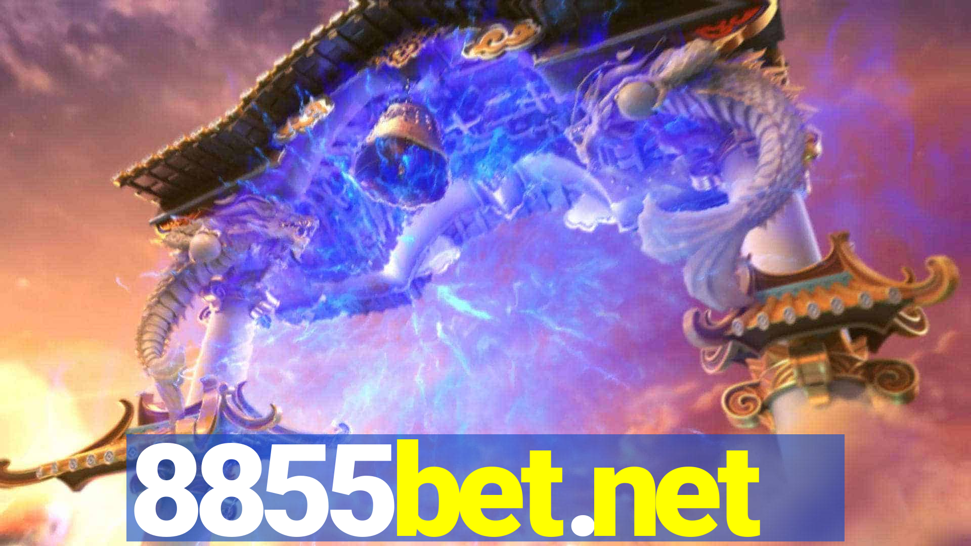 8855bet.net